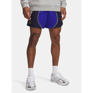 Under Armour Short P&aacute;nsk&eacute; kraasy Under Armour UA Icon Volley CB Shorts